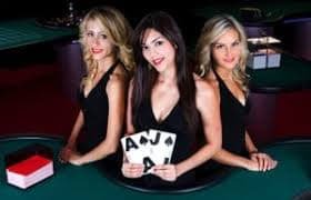 Navigasi Bingo bibit4d di ponsel